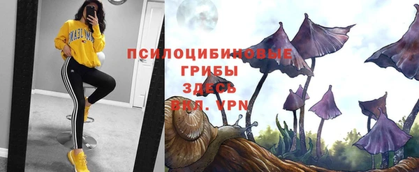 спайс Нефтекумск