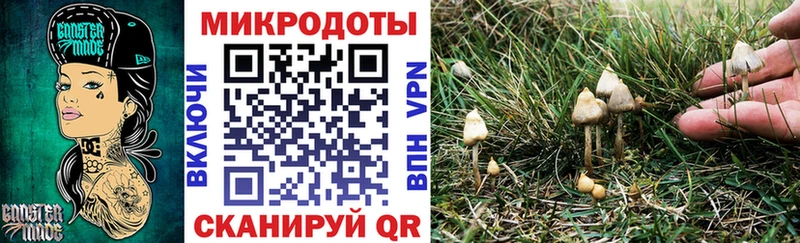 Купить  Новопавловск  Галлюциногенные грибы Psilocybe 